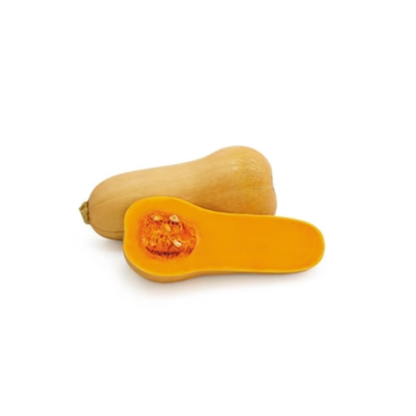 Pumpkin Butternut Each