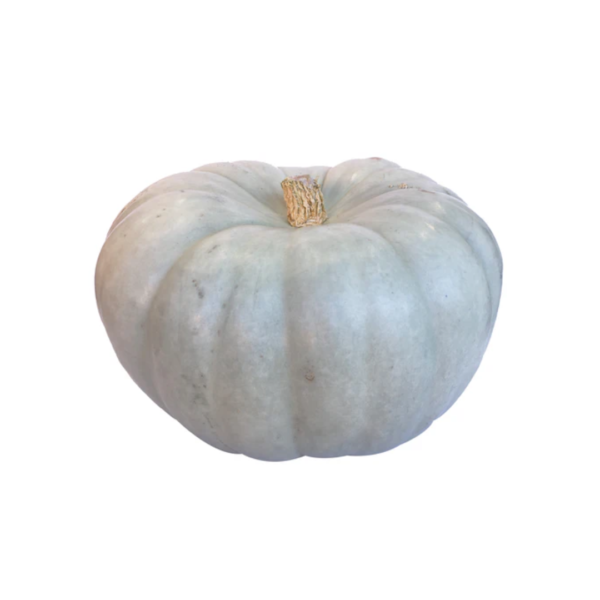 Pumpkin Jarradale Whole