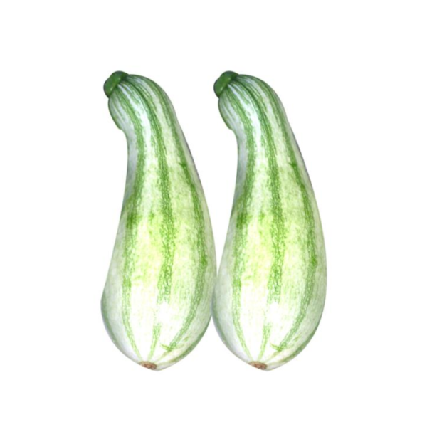 Pipian(winter pumking) each