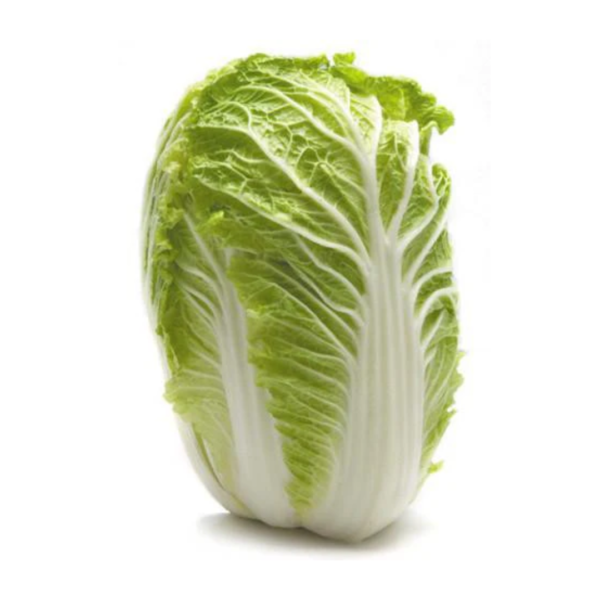 Chinese Cabbage Wombok each