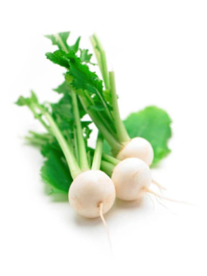 Turnip White Baby Each