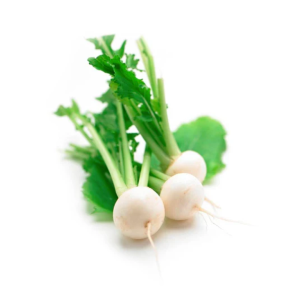 Turnip White Baby Each