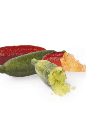 finger lime (citrus caviar) each