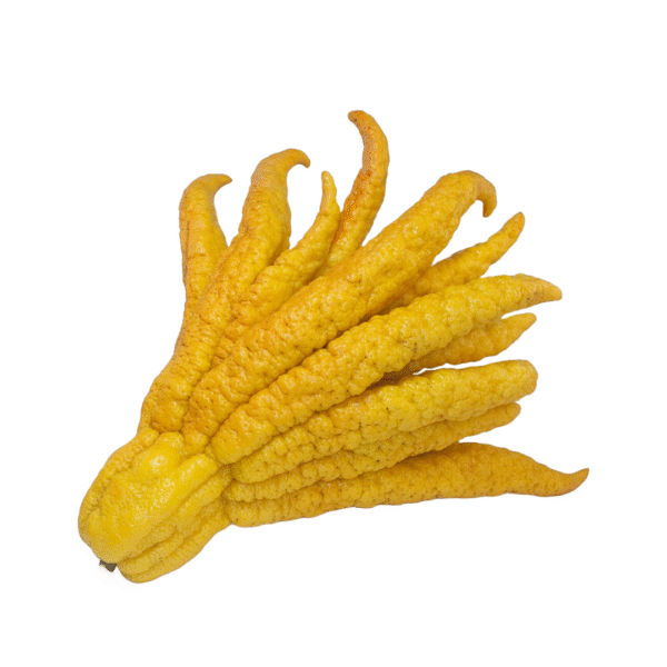 budahand lemon each