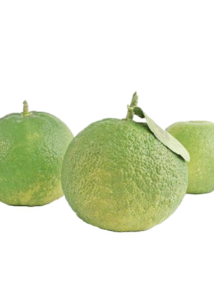 sour Oranges each