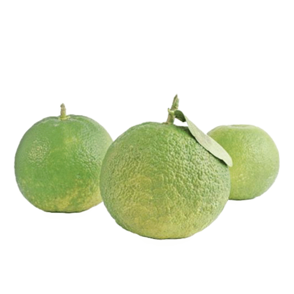 sour Oranges each