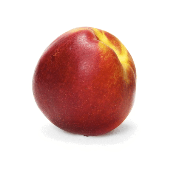 Nectarine each
