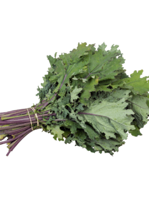 kale bunch