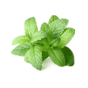 peppermint bunch