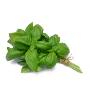 Basil bunch
