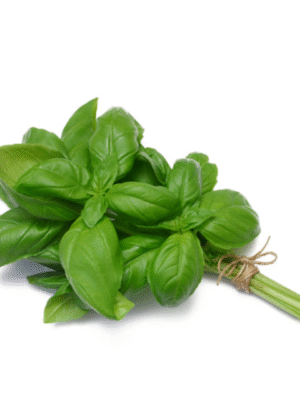 Basil bunch