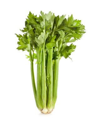 celery bunch