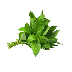 Mint bunch