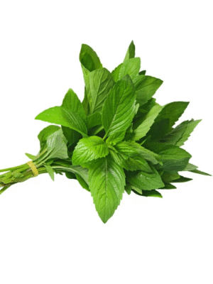 Mint bunch