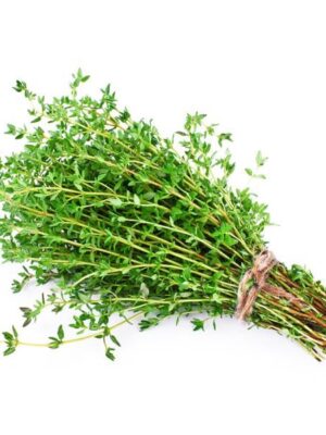 Rosemary bunch