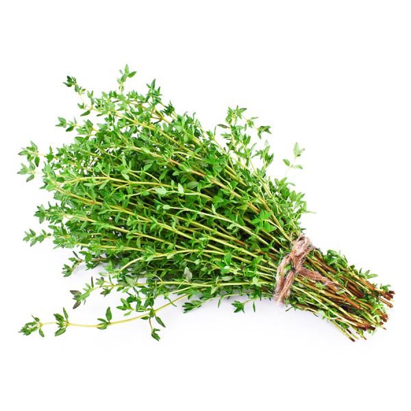 Rosemary bunch
