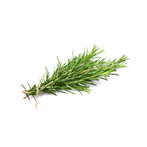 Thyme bunch