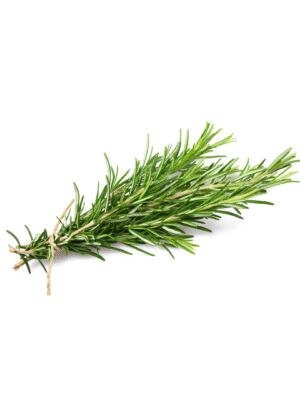 Thyme bunch