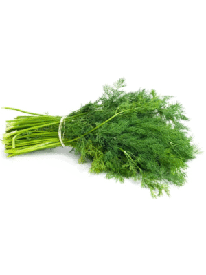 dill bunch