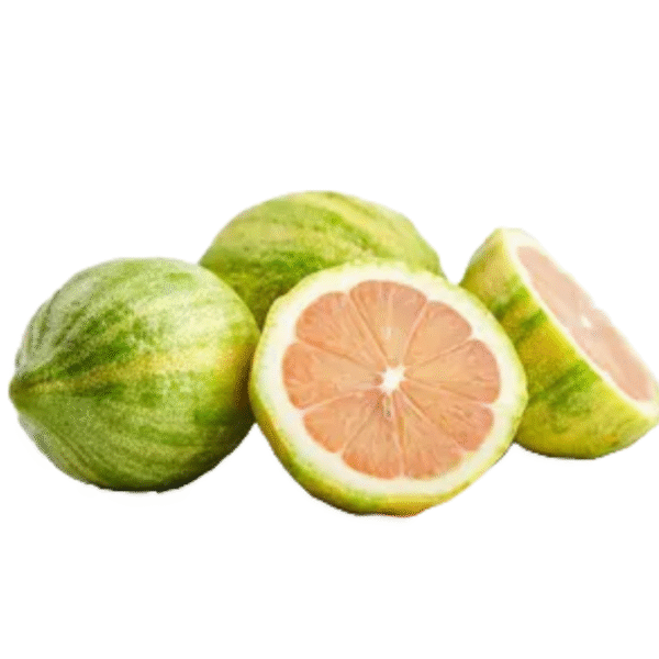Pink Eureka Lemon docen/12units