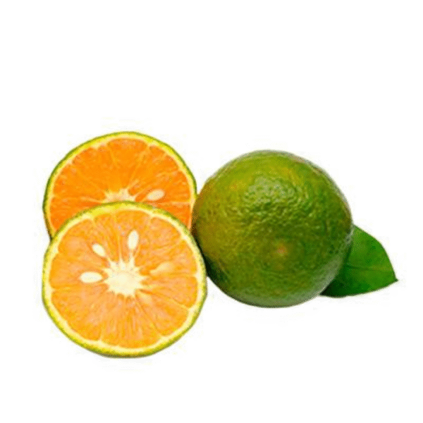 Mandarine Lemon docen/12units