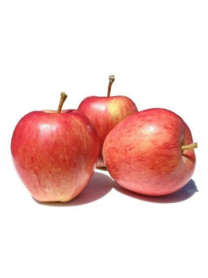 Royal Gala Apple Each