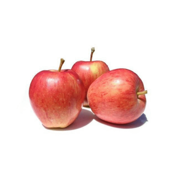 Royal Gala Apple Each