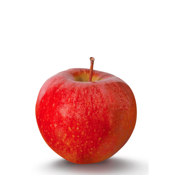 Apple fuji Each