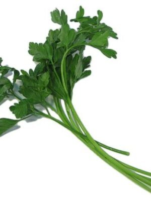 italian parsley bunch