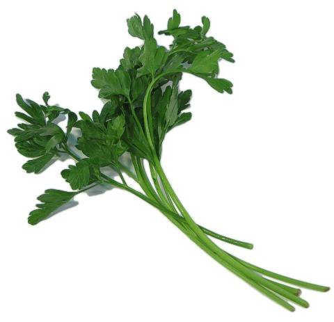 italian parsley bunch