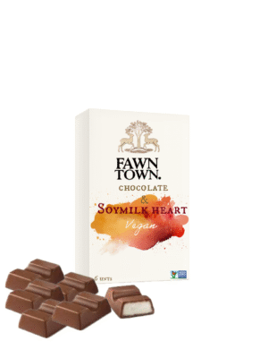 Chocolate & Soymilk heart blocks - 6units