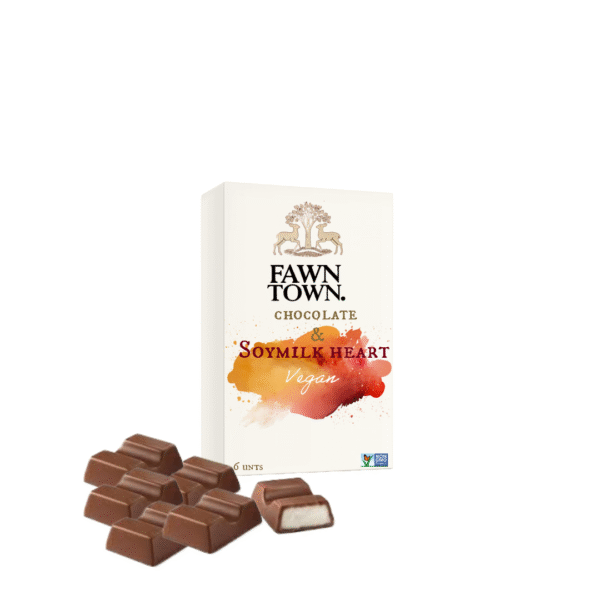 Chocolate & Soymilk heart blocks - 6units