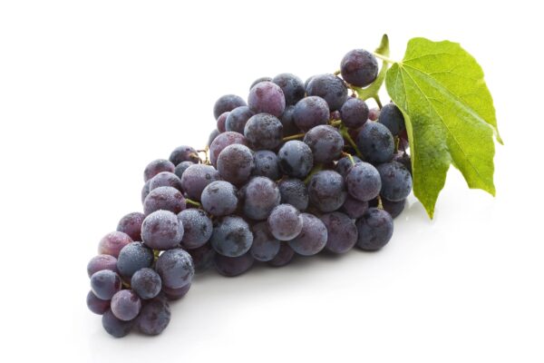 black Grape 1lb