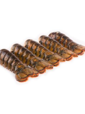 lobster tail 1lb