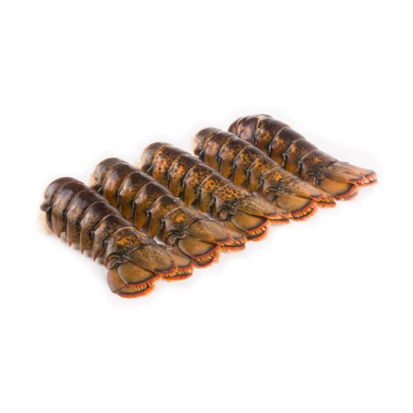 lobster tail 1lb