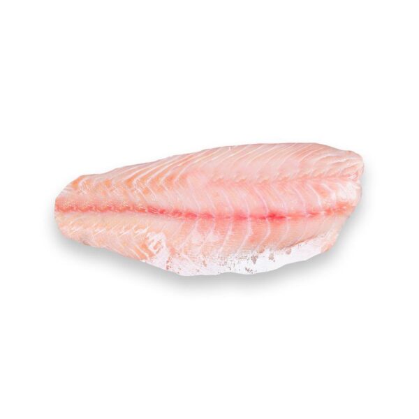 corvina (sea bass) fillet 1lb