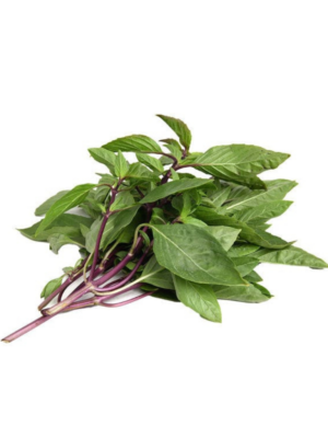 Thai basil