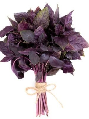 basil african purple bunch 30gr