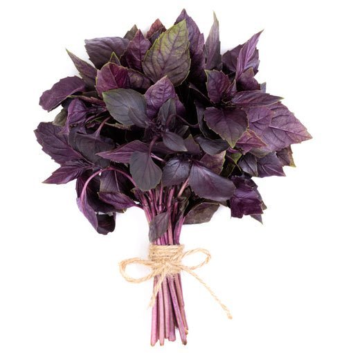 basil african purple bunch 30gr