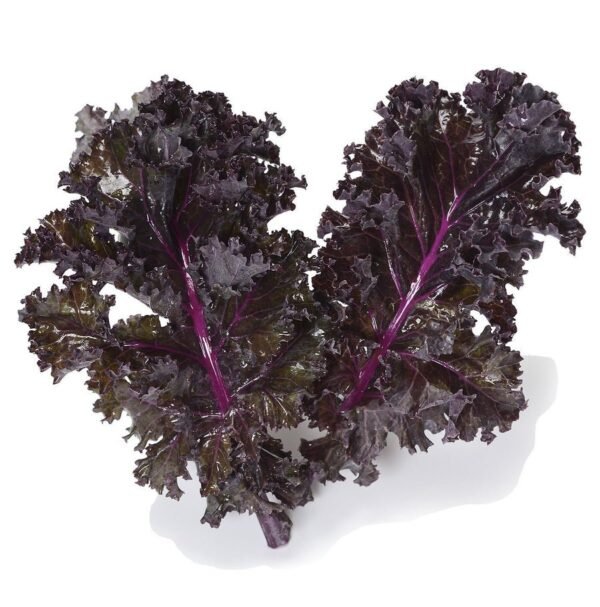 Scarlet kale bunch 230gr