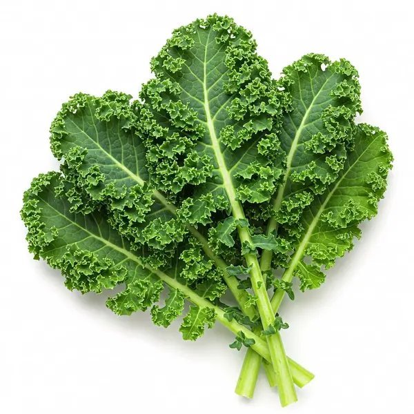 curled kale bunch 230gr